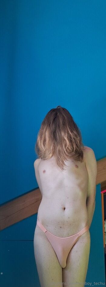femboy_techu