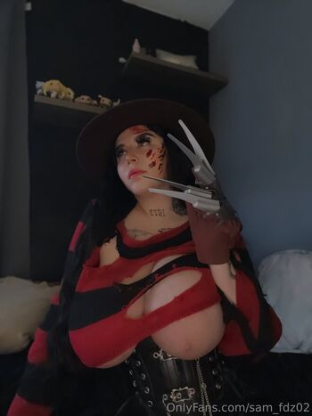 sam_fdz02
